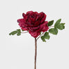 Dried Look Peony