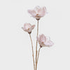 Magnolia Spray