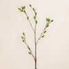Buds Spray (3 Stems for ₱995)