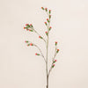 Buds Spray (3 Stems for ₱995)