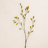 Buds Spray (3 Stems for ₱995)