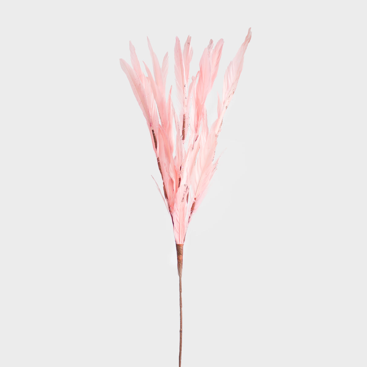 Feather Spray