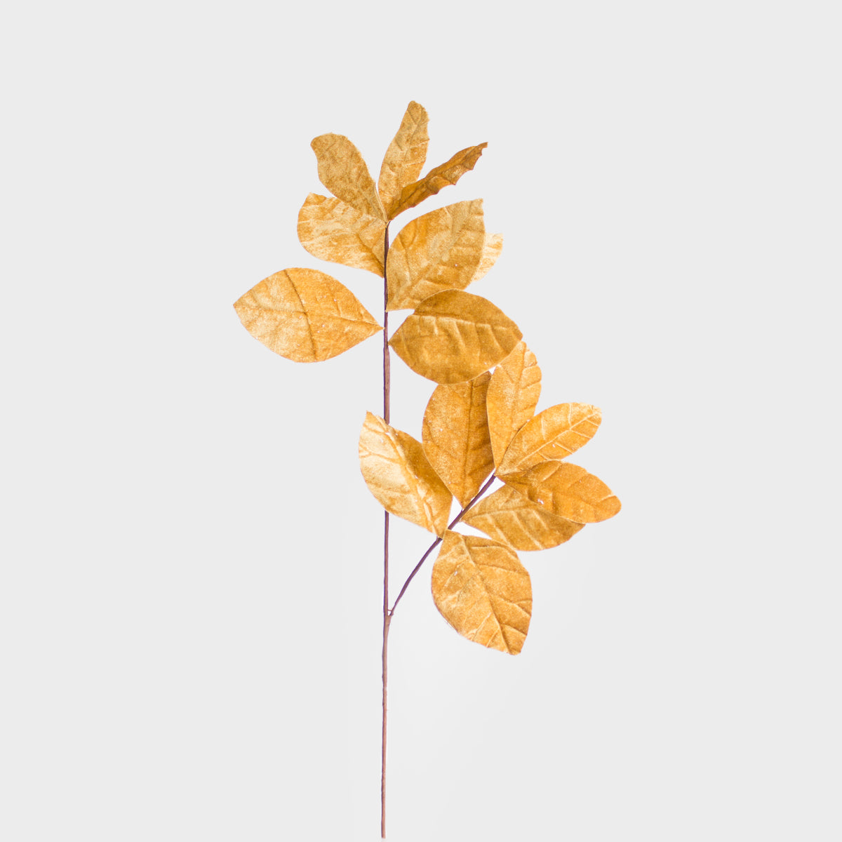 Magnolia Leaves Spray
