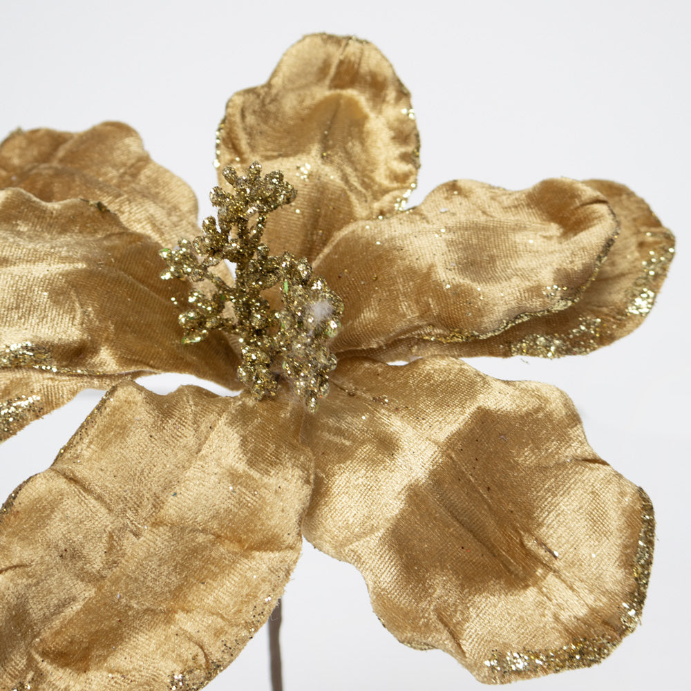 Magnolia Single Gold