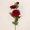 Dahlia Spray