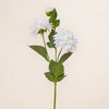 Dahlia Spray