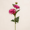 Dahlia Spray