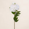 Peony Spray