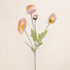 Poppy Spray Big