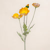 Poppy Spray Big