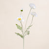 Poppy Spray Small