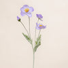 Poppy Spray Small
