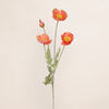 Poppy Spray Small