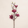 Magnolia Spray