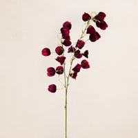 Pods
