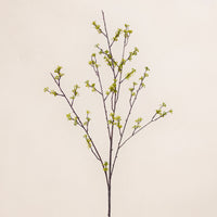 Twigs