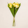 Tulip Bunch