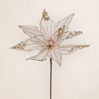 Organza