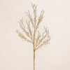Sugared Twigs
