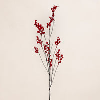 Ikebana