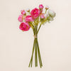 Mini Ranunculus Bunch