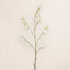 Dancing Orchid Spray