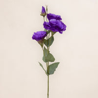 Lisianthus