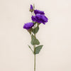 Lisianthus