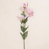 Lisianthus