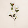 Magnolia Spray