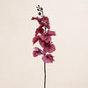 Fabric Cymbidium (3 Stems for ₱995)