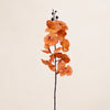 Fabric Cymbidium (3 Stems for ₱995)
