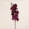 Fabric Cymbidium (3 Stems for ₱995)