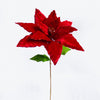 Velvet Poinsettia