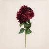 Dried Look Hydrangea (3 Stems for ₱1,495)