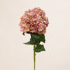 Dried Look Hydrangea (3 Stems for ₱1,495)