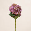 Dried Look Hydrangea (3 Stems for ₱1,495)