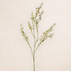 Mini Florets Spray (3 Stems for ₱995)