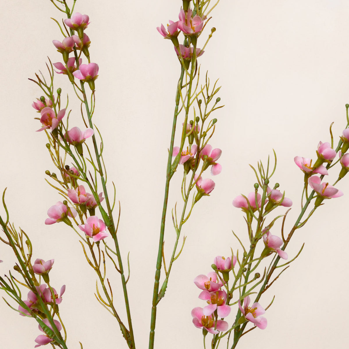 Mini Florets Spray (3 Stems for ₱995) & Designer Blooms PH