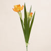 Daffodil Spray (3 Stems for ₱1,495)