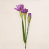Daffodil Spray (3 Stems for ₱1,495)