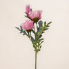 Poppy Spray (3 Stems for ₱495)