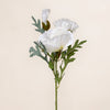 Poppy Spray (3 Stems for ₱495)