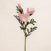 Poppy Spray (3 Stems for ₱495)