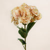 Giant Hydrangea (3 Stems for ₱1,495)