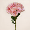 Giant Hydrangea (3 Stems for ₱1,495)