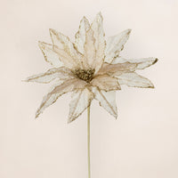 Tulle