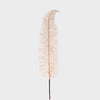 Fern Pick