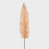 Fern Pick