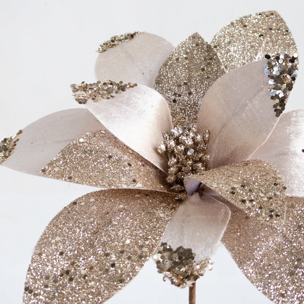 Glittered Poinsettia - Champagne